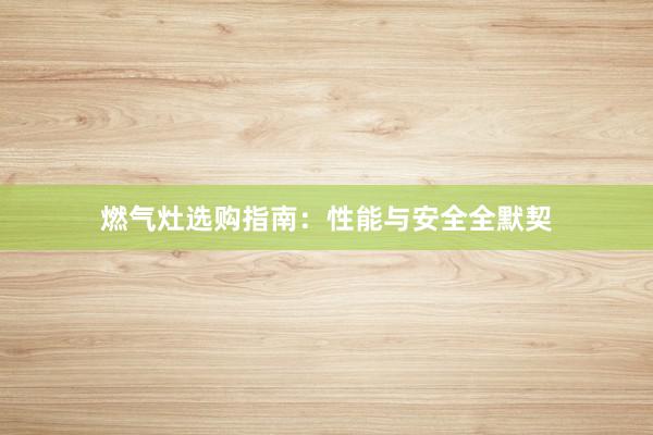 燃气灶选购指南：性能与安全全默契